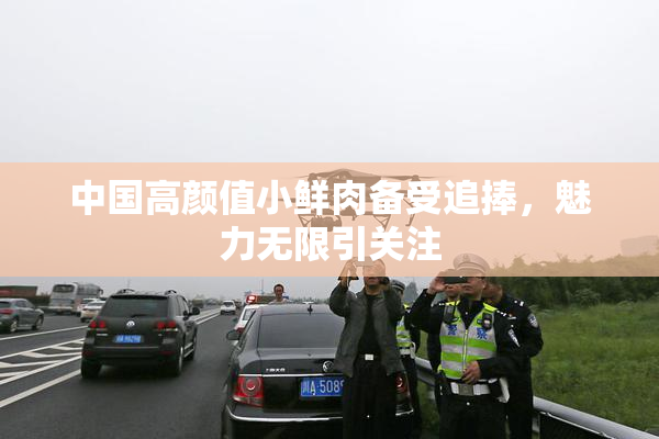 中国高颜值小鲜肉备受追捧，魅力无限引关注