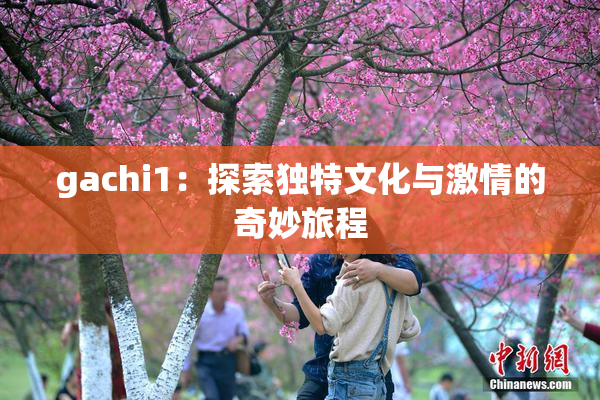 gachi1：探索独特文化与激情的奇妙旅程