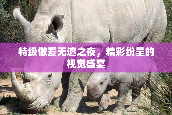 特级做爰无遮之夜，精彩纷呈的视觉盛宴