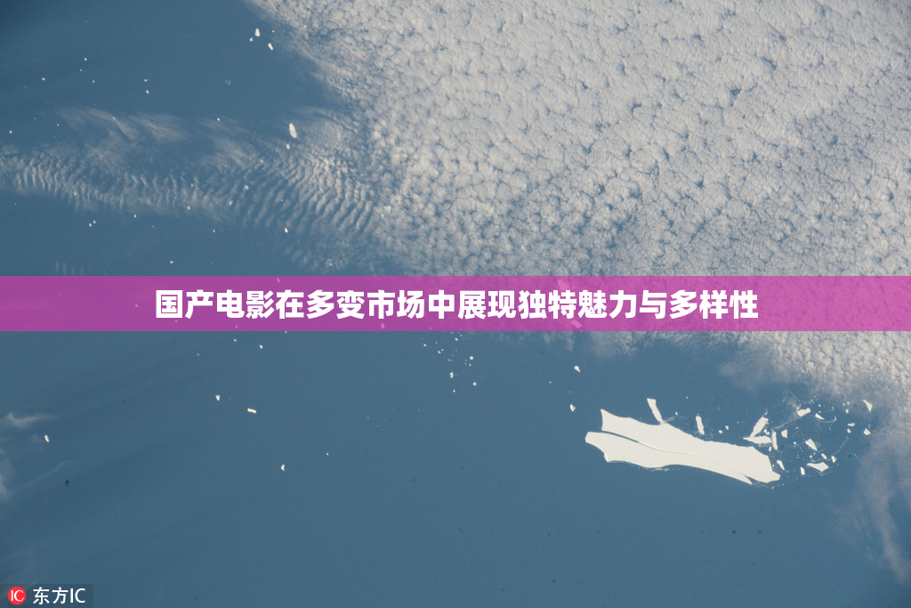 国产电影在多变市场中展现独特魅力与多样性