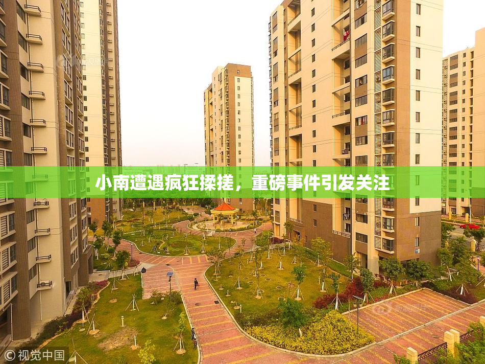 小南遭遇疯狂揉搓，重磅事件引发关注