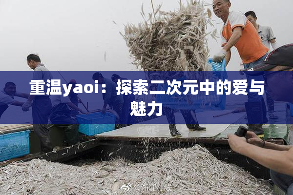重温yaoi：探索二次元中的爱与魅力