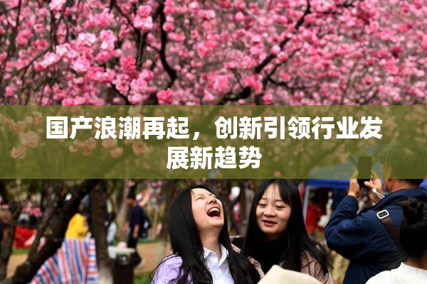 国产浪潮再起，创新引领行业发展新趋势