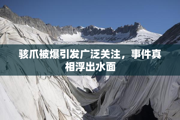 骇爪被爆引发广泛关注，事件真相浮出水面