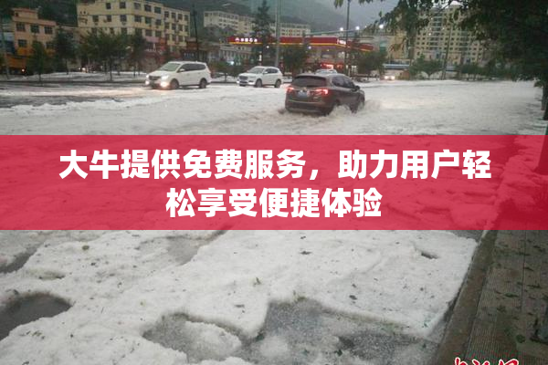 大牛提供免费服务，助力用户轻松享受便捷体验