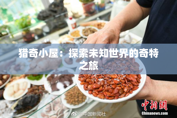 猎奇小屋：探索未知世界的奇特之旅