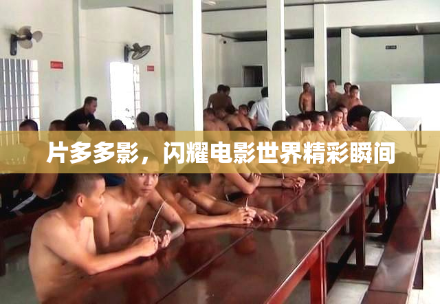 片多多影，闪耀电影世界精彩瞬间
