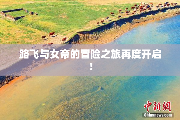 路飞与女帝的冒险之旅再度开启！