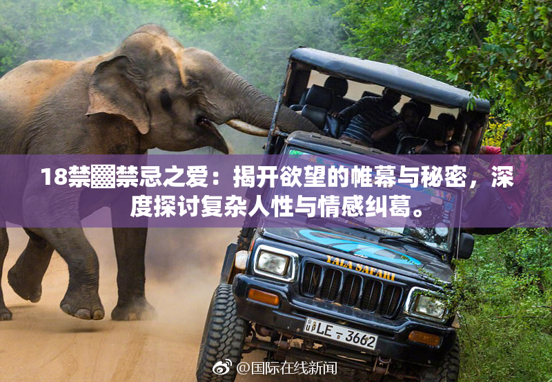 18禁▓禁忌之爱：揭开欲望的帷幕与秘密，深度探讨复杂人性与情感纠葛。