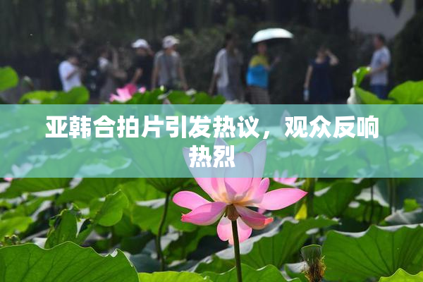 亚韩合拍片引发热议，观众反响热烈