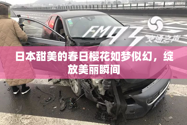 日本甜美的春日樱花如梦似幻，绽放美丽瞬间