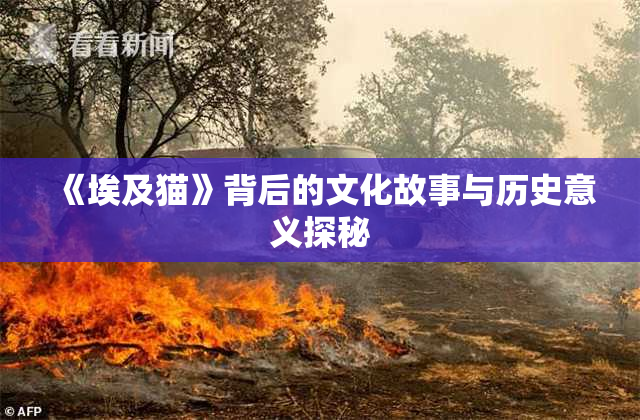 《埃及猫》背后的文化故事与历史意义探秘