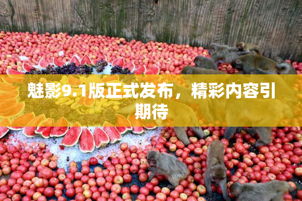 魅影9.1版正式发布，精彩内容引期待