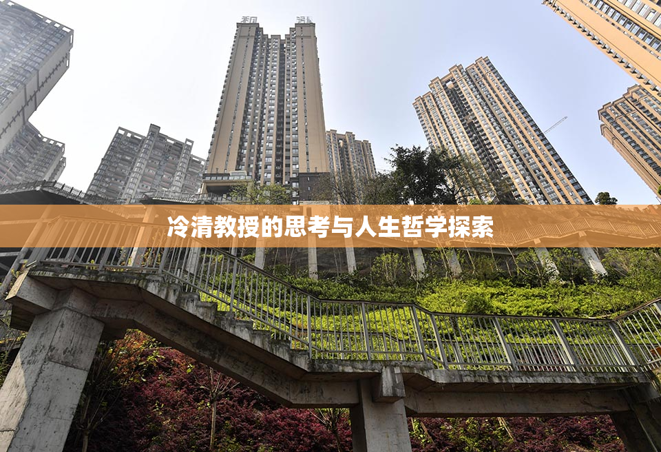 冷清教授的思考与人生哲学探索