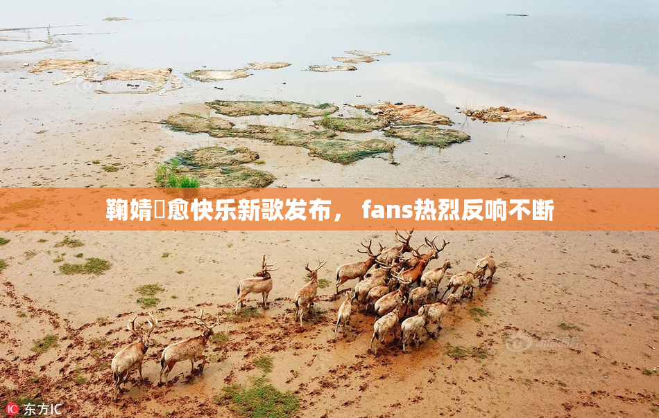 鞠婧祎愈快乐新歌发布， fans热烈反响不断
