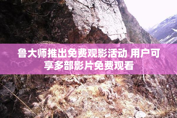 鲁大师推出免费观影活动 用户可享多部影片免费观看