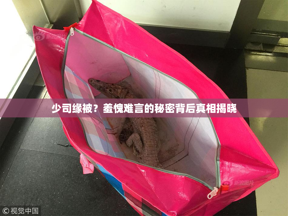 少司缘被？羞愧难言的秘密背后真相揭晓