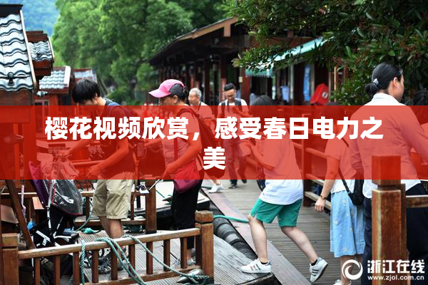 樱花视频欣赏，感受春日电力之美