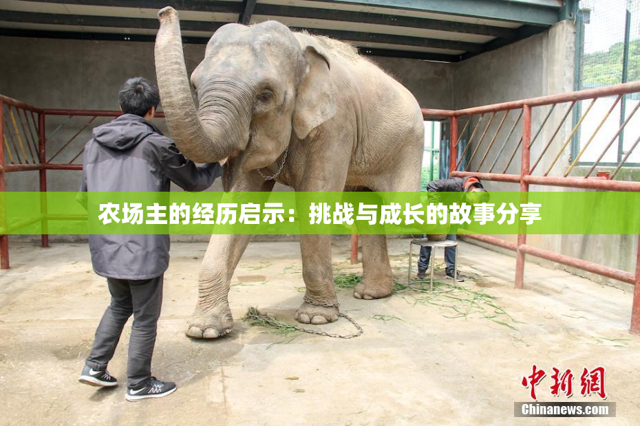 农场主的经历启示：挑战与成长的故事分享