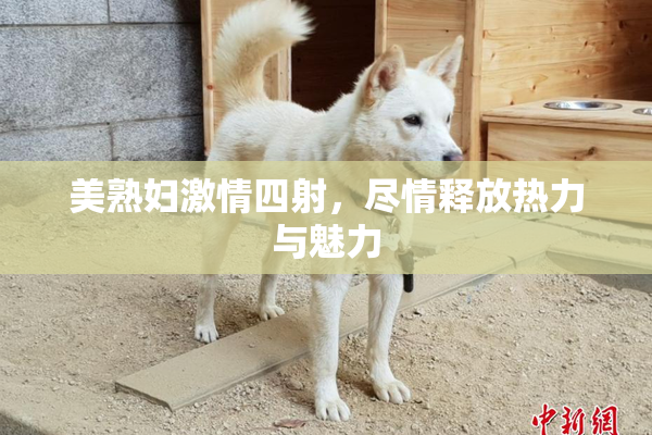 美熟妇激情四射，尽情释放热力与魅力