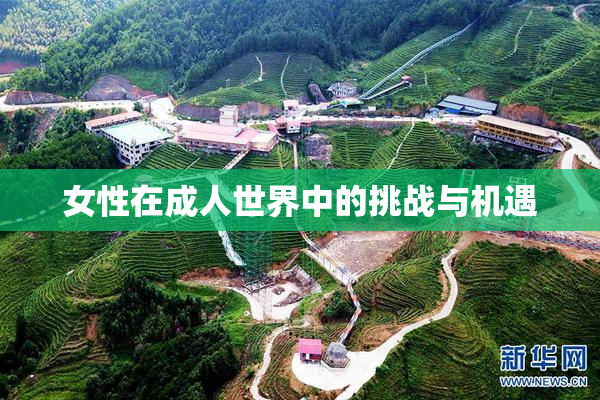 女性在成人世界中的挑战与机遇
