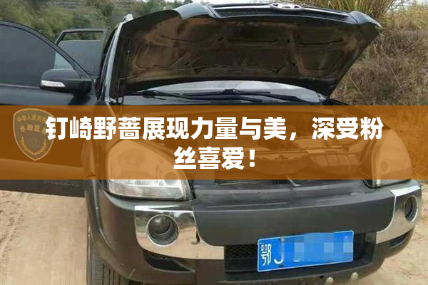 钉崎野蔷展现力量与美，深受粉丝喜爱！