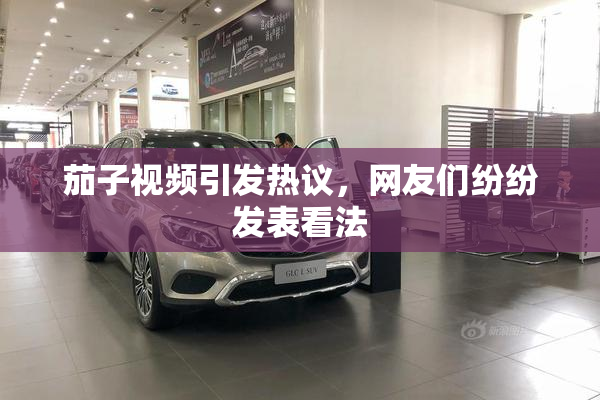 茄子视频引发热议，网友们纷纷发表看法