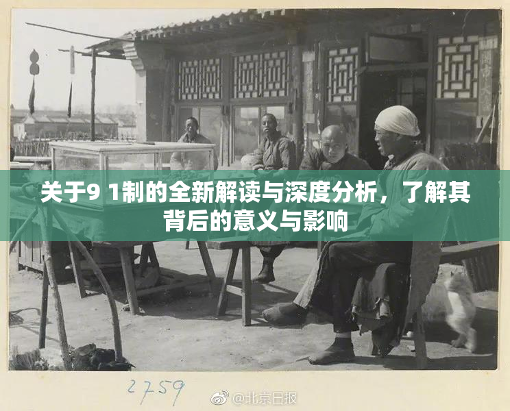 关于9 1制的全新解读与深度分析，了解其背后的意义与影响
