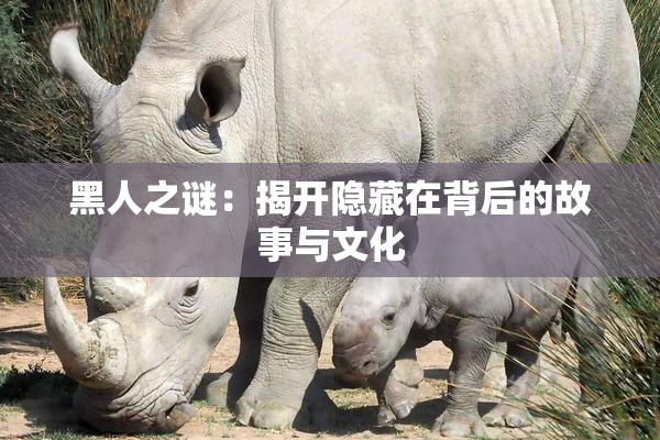 黑人之谜：揭开隐藏在背后的故事与文化