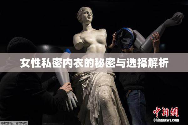 女性私密内衣的秘密与选择解析