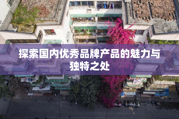 探索国内优秀品牌产品的魅力与独特之处
