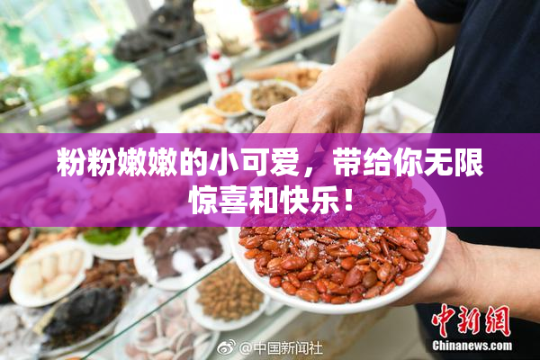 粉粉嫩嫩的小可爱，带给你无限惊喜和快乐！