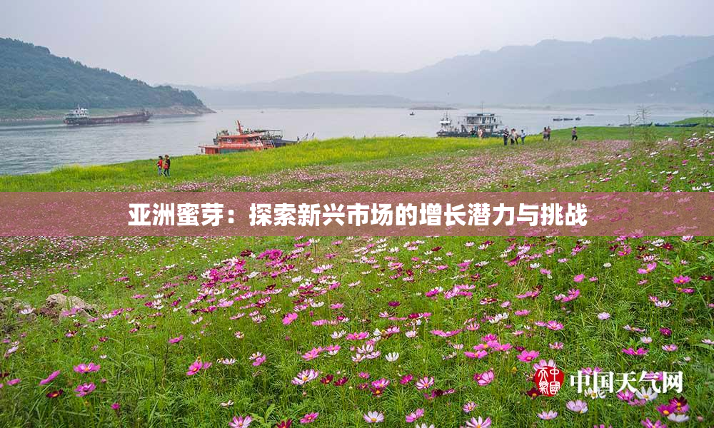 亚洲蜜芽：探索新兴市场的增长潜力与挑战