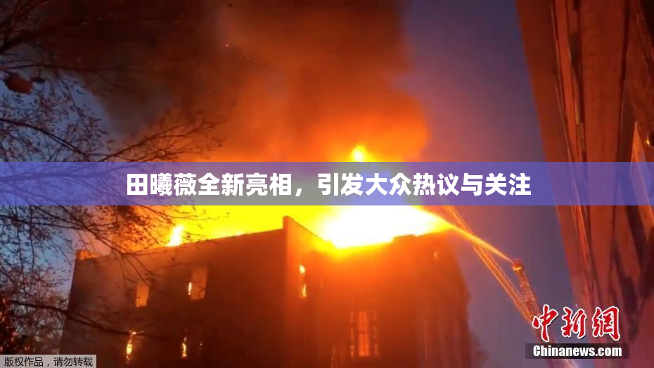 田曦薇全新亮相，引发大众热议与关注