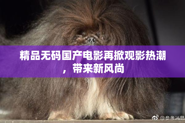精品无码国产电影再掀观影热潮，带来新风尚