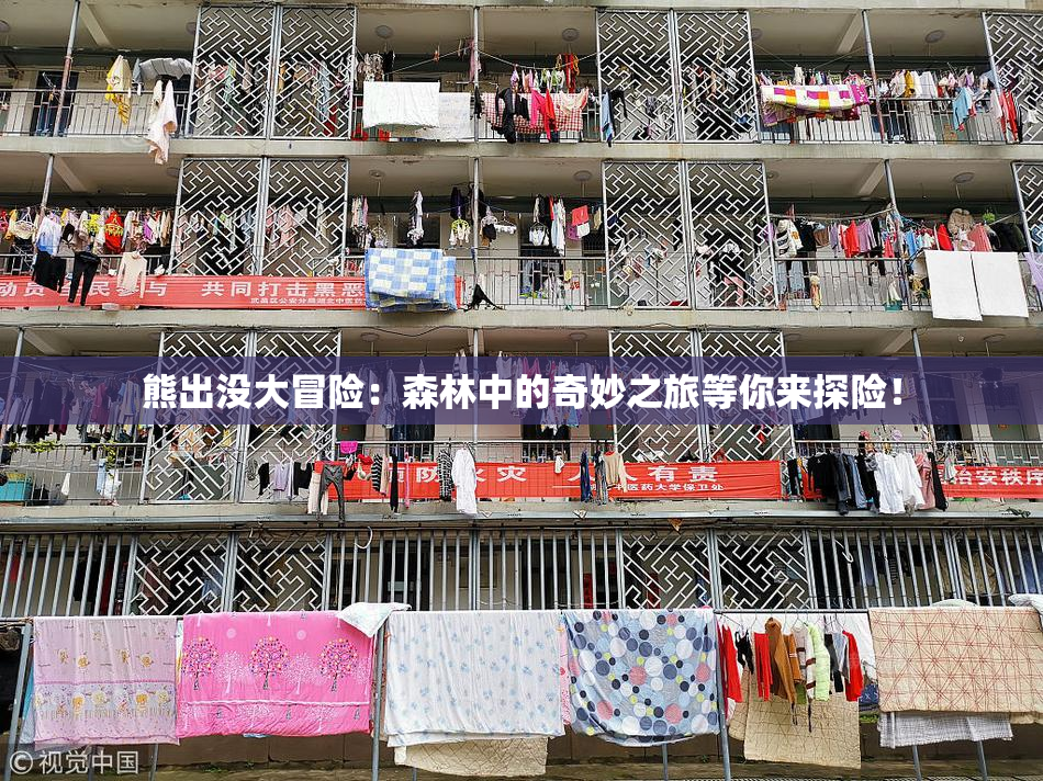 熊出没大冒险：森林中的奇妙之旅等你来探险！