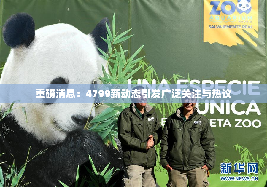 重磅消息：4799新动态引发广泛关注与热议