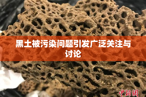 黑土被污染问题引发广泛关注与讨论