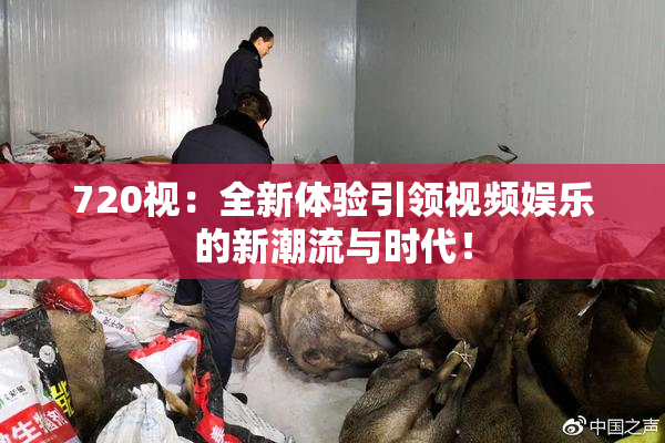 720视：全新体验引领视频娱乐的新潮流与时代！