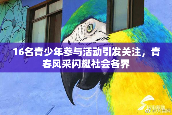 16名青少年参与活动引发关注，青春风采闪耀社会各界