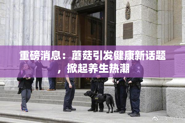 重磅消息：蘑菇引发健康新话题，掀起养生热潮