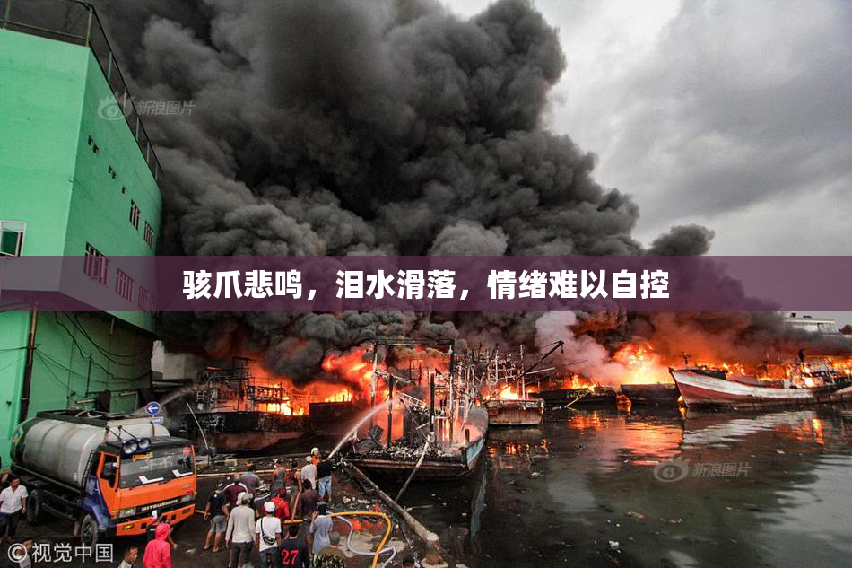 骇爪悲鸣，泪水滑落，情绪难以自控