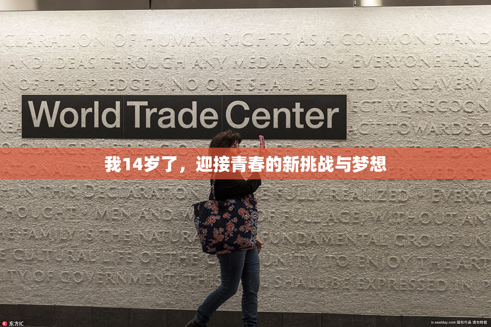 我14岁了，迎接青春的新挑战与梦想