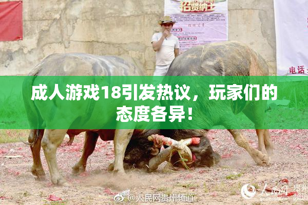 成人游戏18引发热议，玩家们的态度各异！