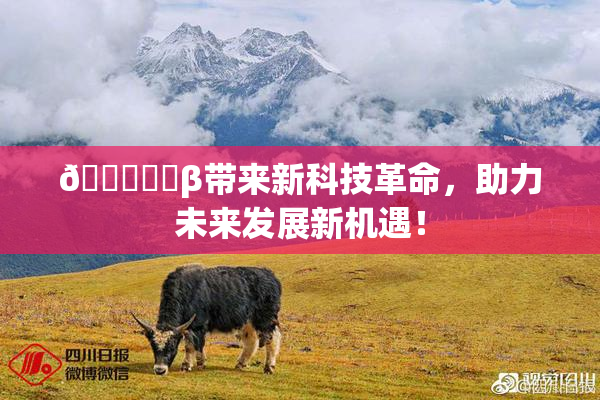 🍆❌‌β带来新科技革命，助力未来发展新机遇！