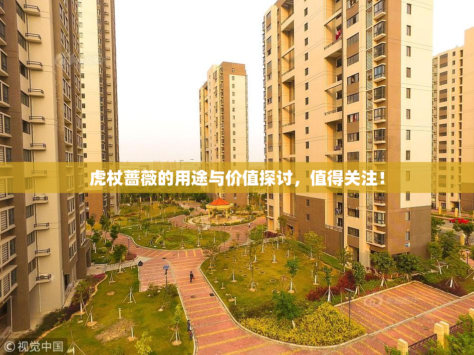 虎杖蔷薇的用途与价值探讨，值得关注！