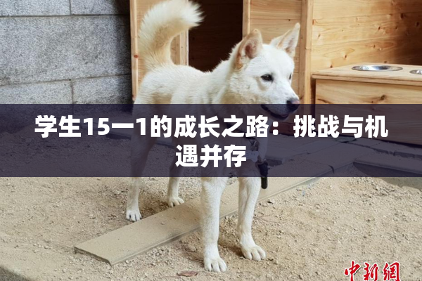 学生15一1的成长之路：挑战与机遇并存