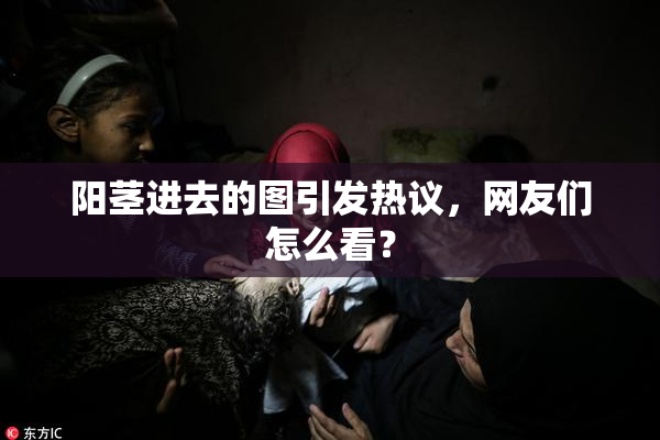 阳茎进去的图引发热议，网友们怎么看？