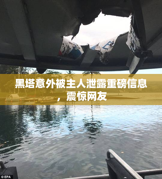 黑塔意外被主人泄露重磅信息，震惊网友