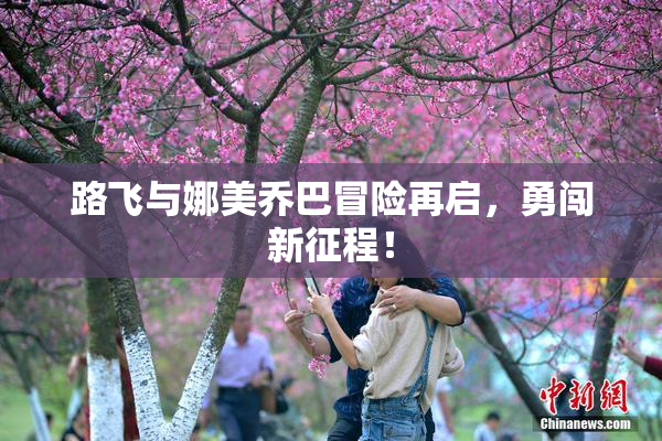 路飞与娜美乔巴冒险再启，勇闯新征程！